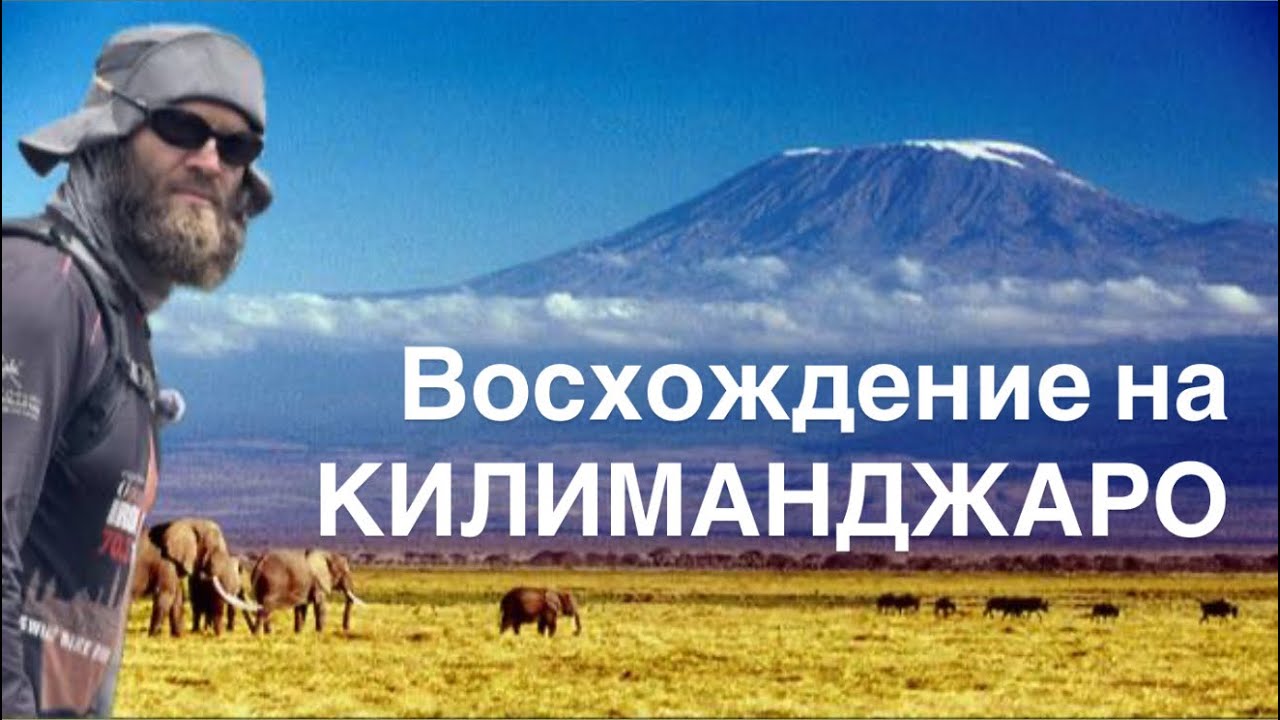 Путешествие кавказцев в Африку.