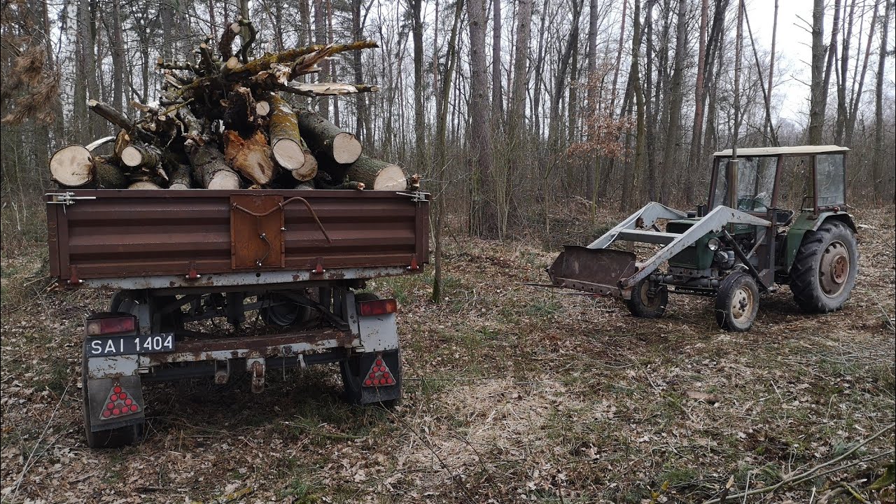 Praca w lesie || Sprzątanie przewróconych drzew || Ursus C-330 w akcji