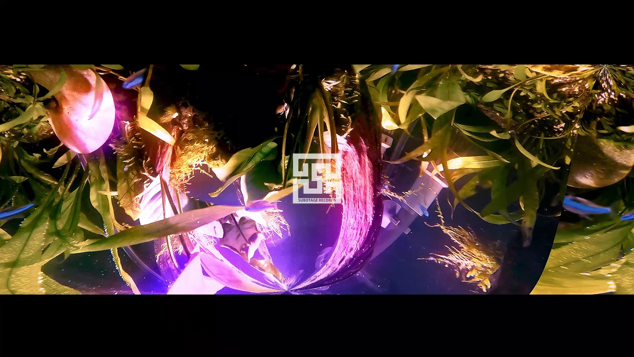 Fish tank music with optical disturbance