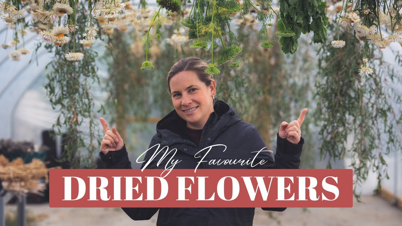 My Favourite DRIED Flowers!