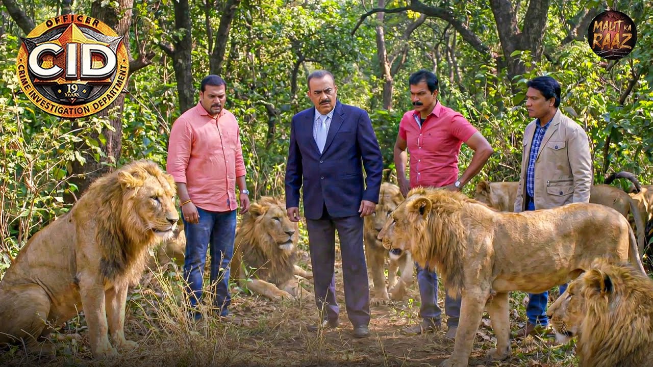 क्या CID कर पायेगी जंगल के शेरो की मदत ? | CID Special | New Episode | Latest Episode