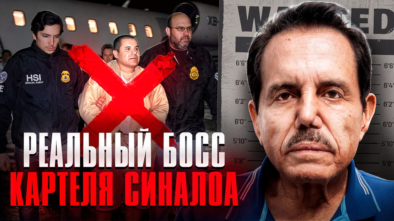 50 YEARS AT THE helm of Mexico's most important cartel - El Mayo's biography