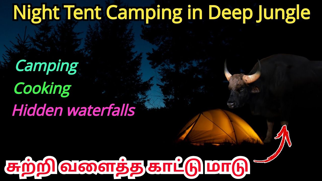 Night tent camping in forest/bison surrounded our tent|cooking/hidden water falls/kalvarayan hills