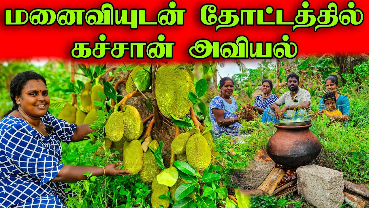 தோட்டத்துக்க யானை புகுந்திட்டு | My village life stays | vanni vlog ♥️