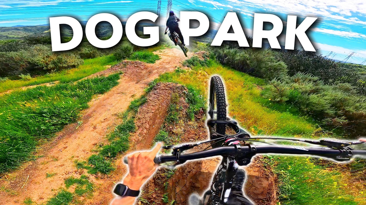 Dog Park Group Ride Went OFF! Big Jumps & Fast Trails