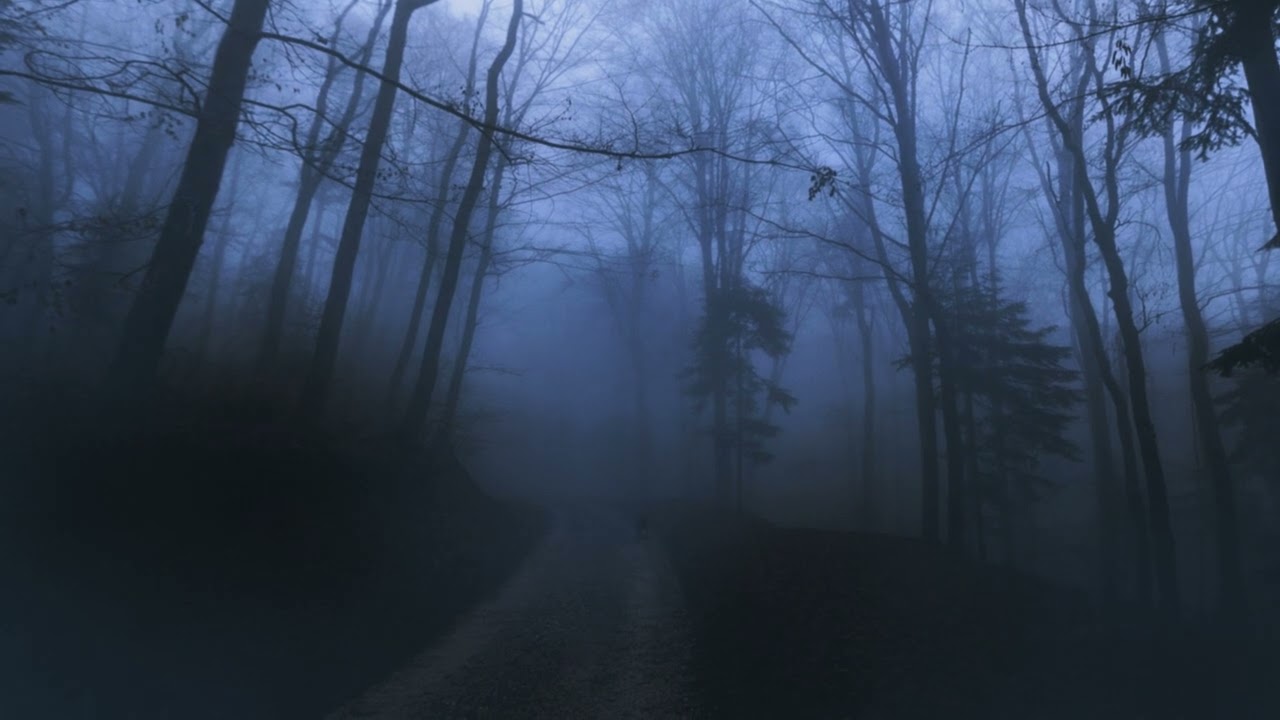 Alone, you wander.