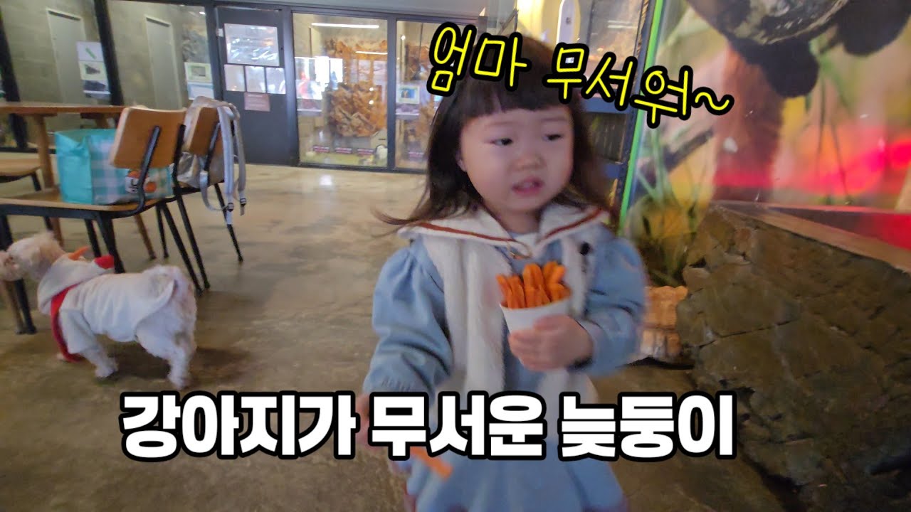 청주 실내동물원 애니멀쥬 강아지보다 더 귀여운 늦둥이 강쥐 #청주갈만한곳 #청주실내동물원 #애니멀쥬