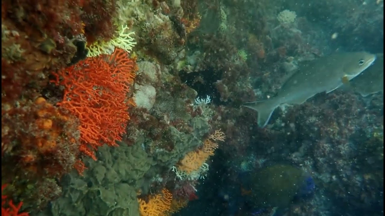 Yanchep Lagoon & life abundant
