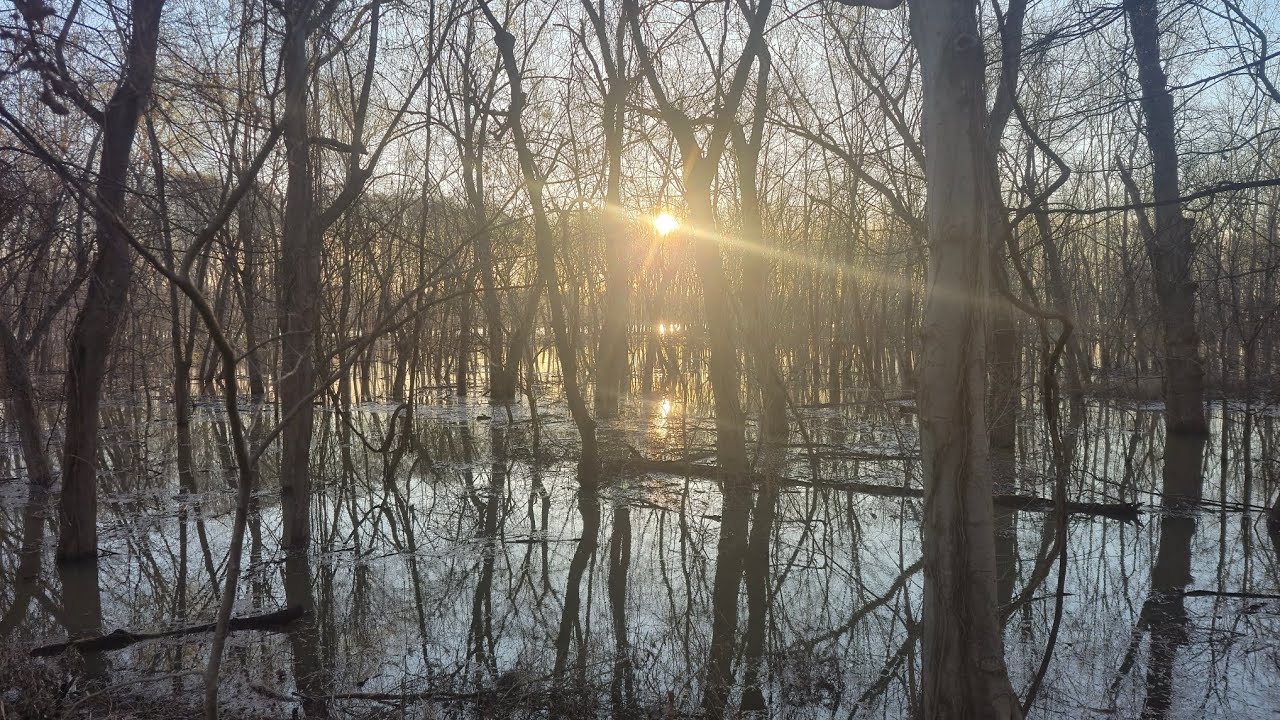 Sunrise Hike Eagle Slough Natural Area