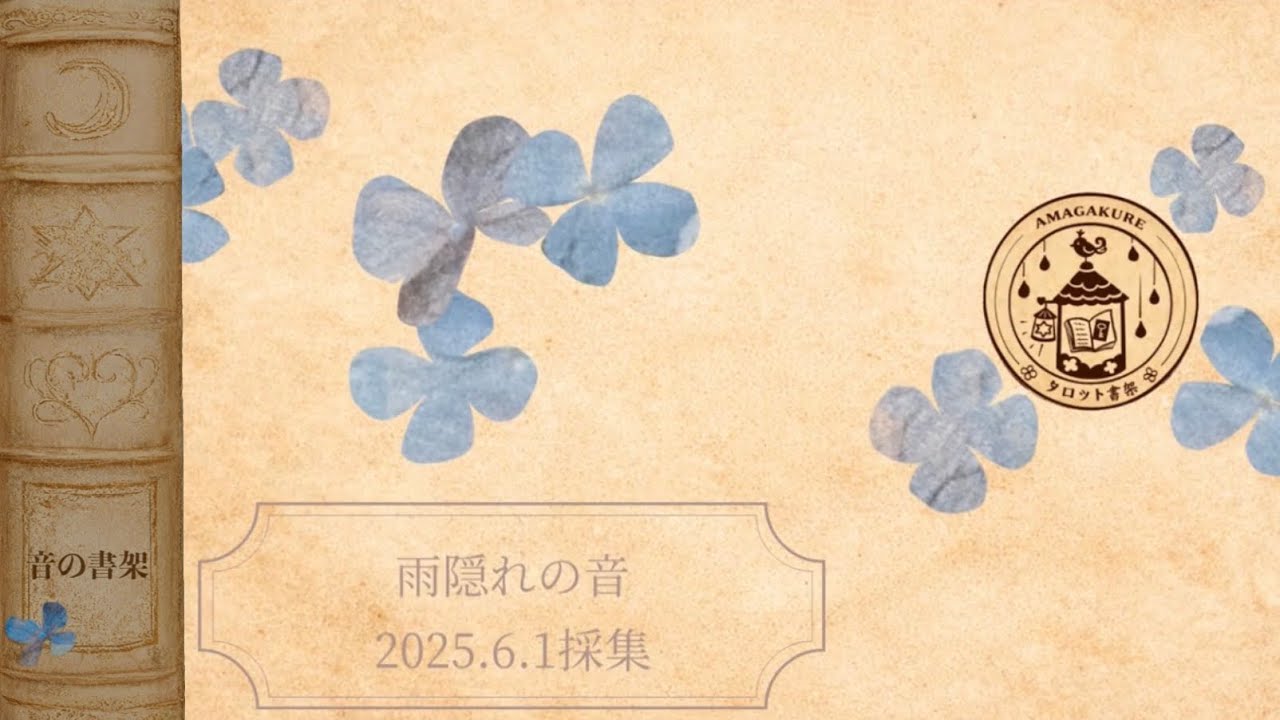 《 雨隠れの雨 》心空っぽになる時間ASMR.FIELD RECORDING. 2025.6.1音採集。 