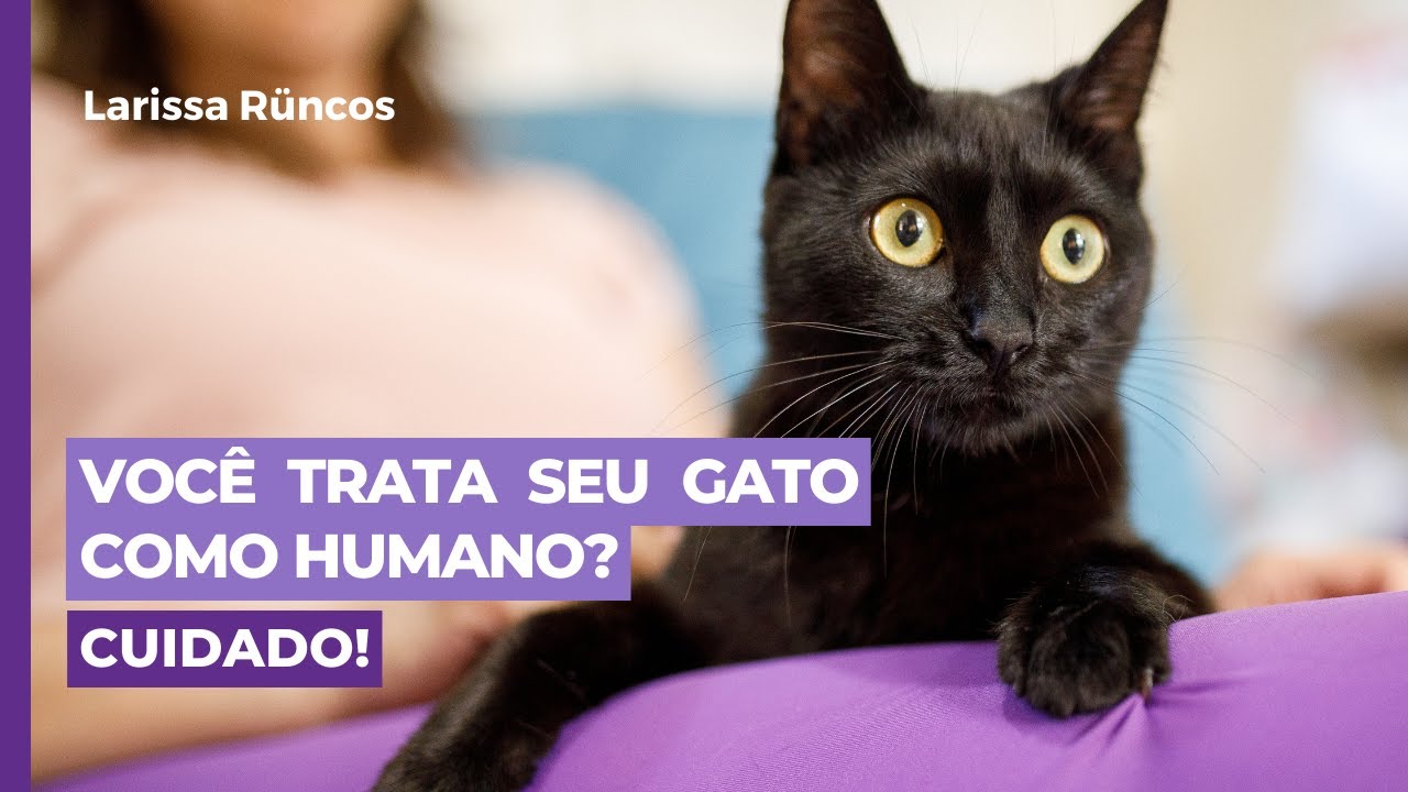 VOCÊ TRATA SEU GATO COMO HUMANO? CUIDADO!