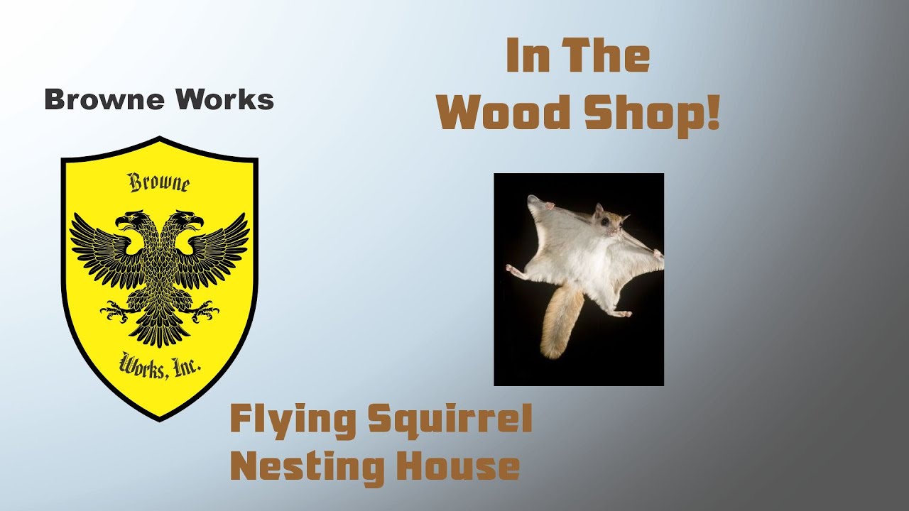 Building a Flying Squirrel Nesting House