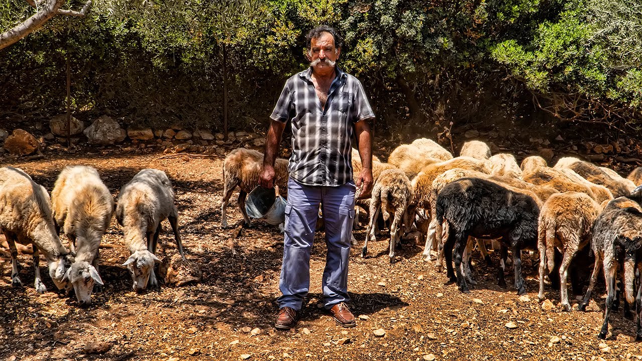 Στη στάνη του Παντελή | Η ζωή στο νησί | Greek Village Life