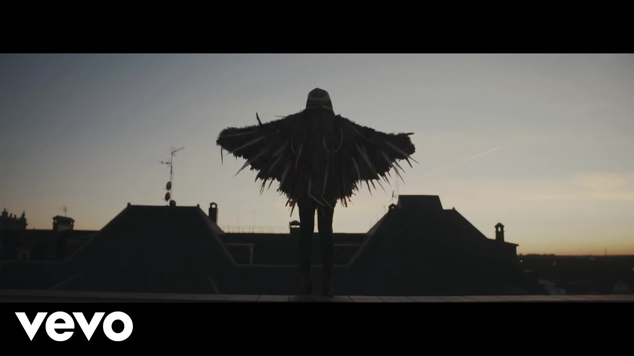 Roi - Plumas