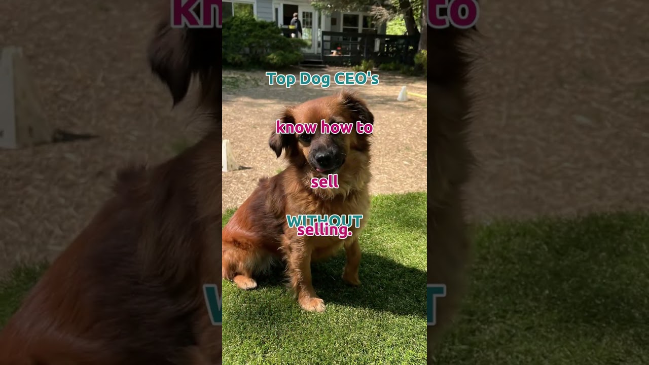 Do You Know How to Sell WITHOUT Actually Selling? | Conscious Pet Sitter