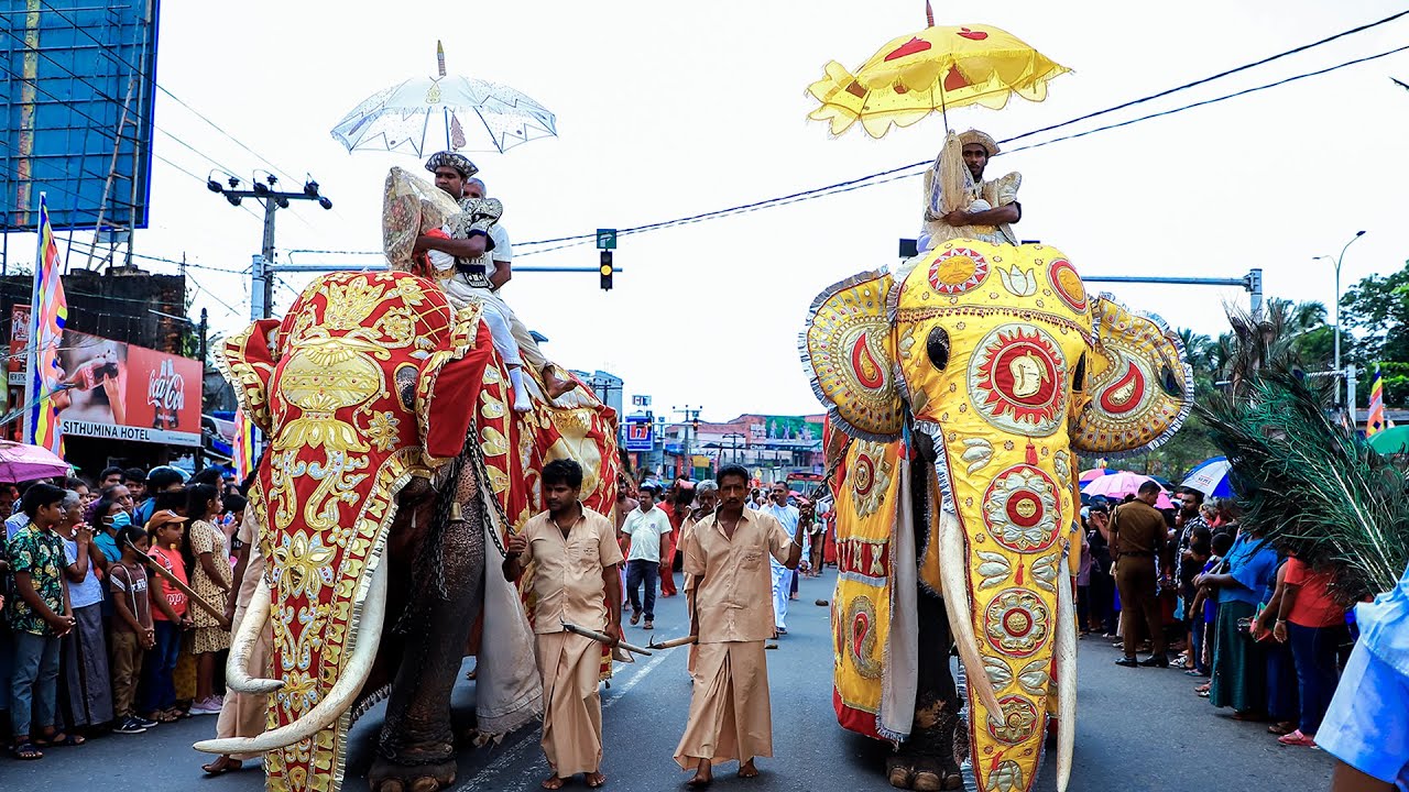 Kaduwela Sri Rankadu Paththini Devalaya - කඩුදෙවොල දියකැපුම් පෙරහැර 2023