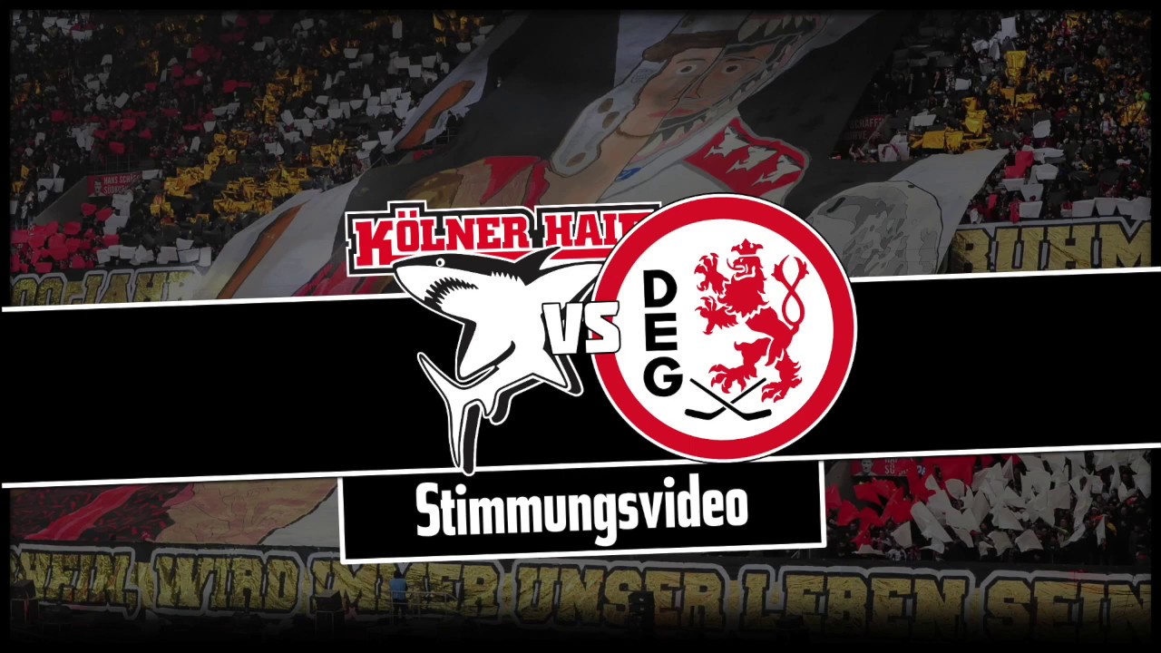 Stimmungsvideo | Kölner Haie - Düsseldorfer EG