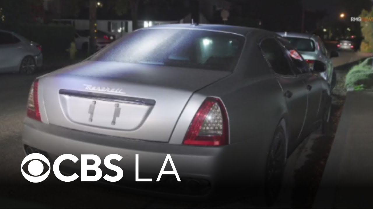 Sherman Oaks hit-and-run leaves man, dog dead