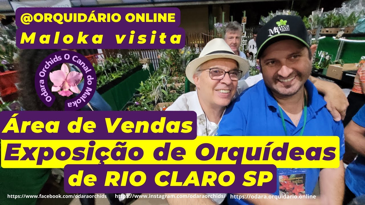 EXPOSIÇÃO DE ORQUÍDEAS de RIO CLARO Área de Vendas Muita variedade de #orquídeas e preços
