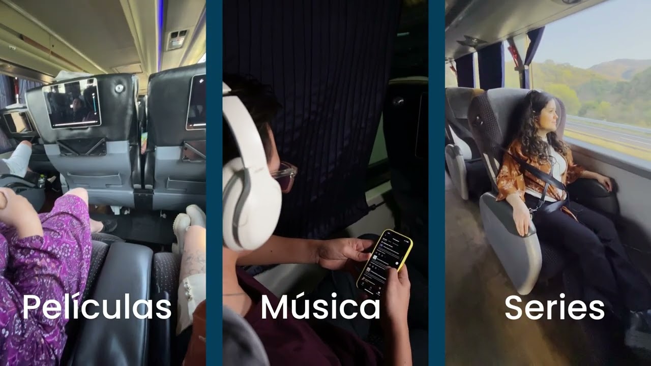 ETN Turistar trae para ti la guía definitiva para tu viaje a la playa