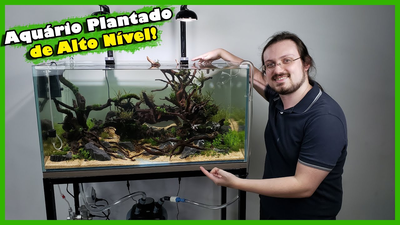 Como Montar um Aquário PLANTADO de Alto Nível e Aquapaisagismo!