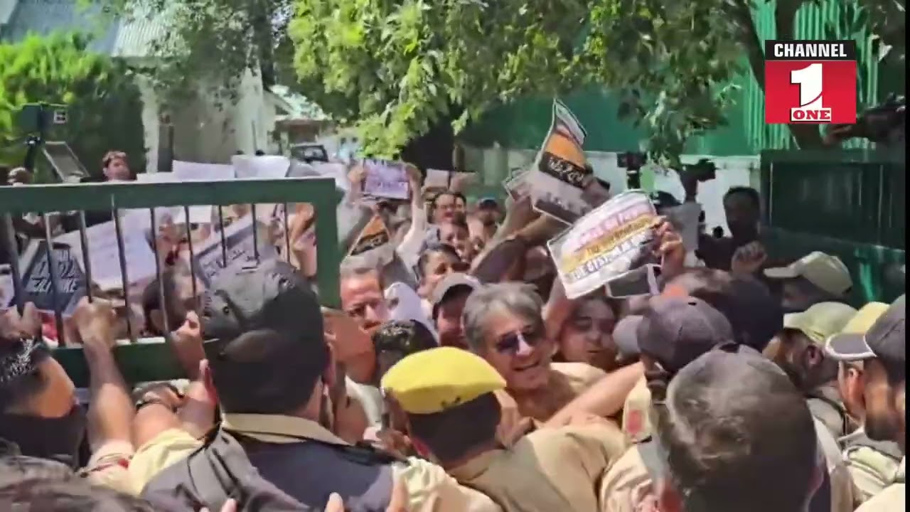 Лидеры и активисты НДП вышли на протест против повышения тарифов на электроэнергию