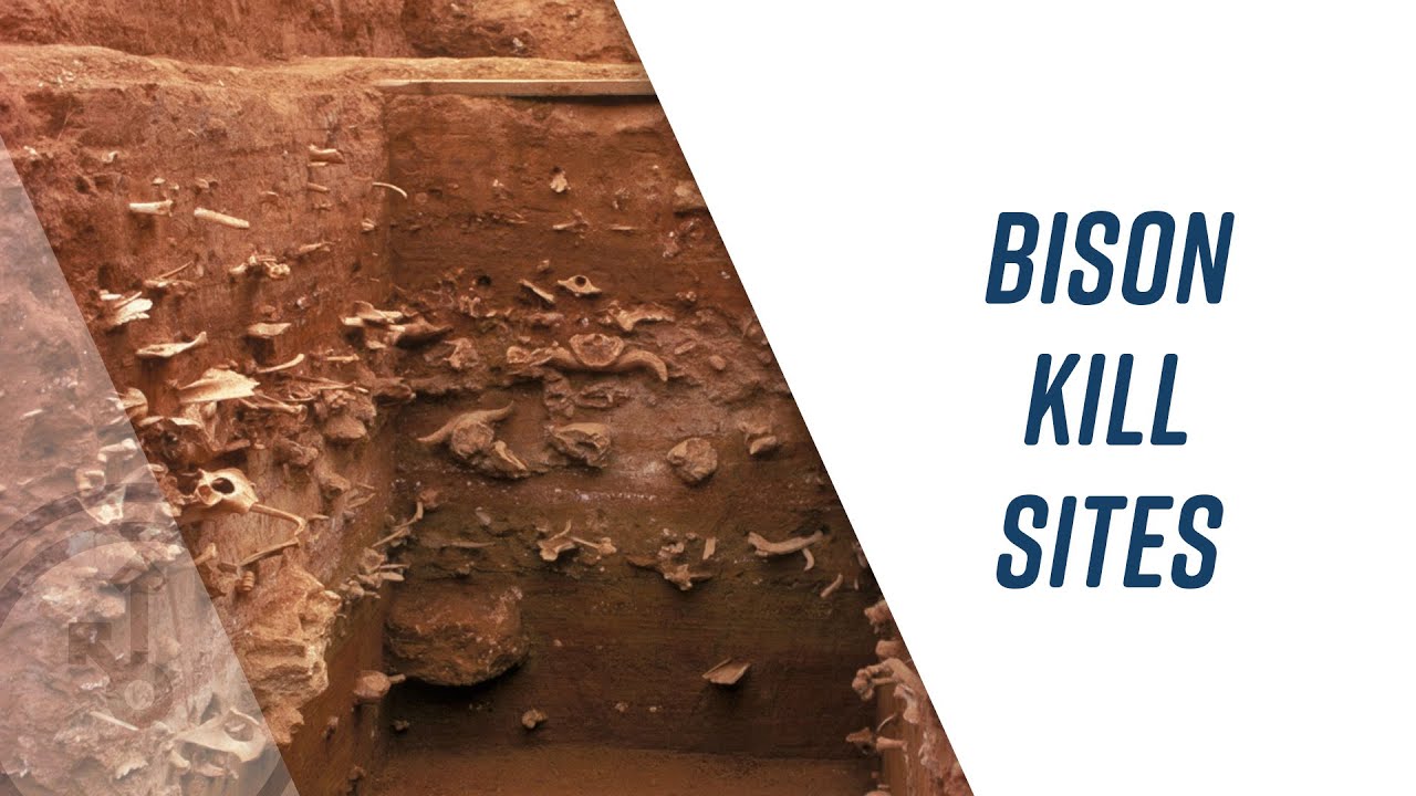 Unearthing Bison Kill Sites