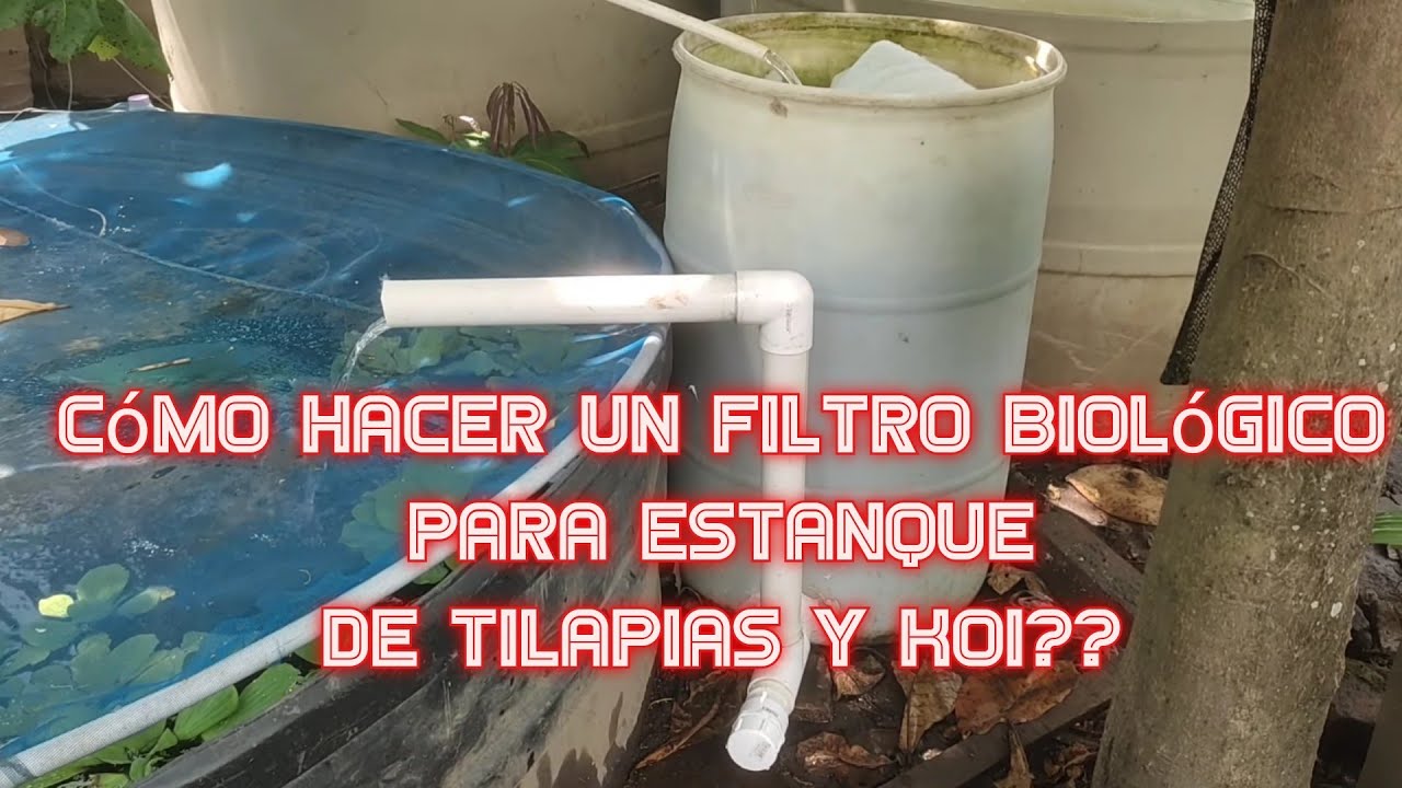 Лучший фильтр для кристально чистой воды в вашем пруду