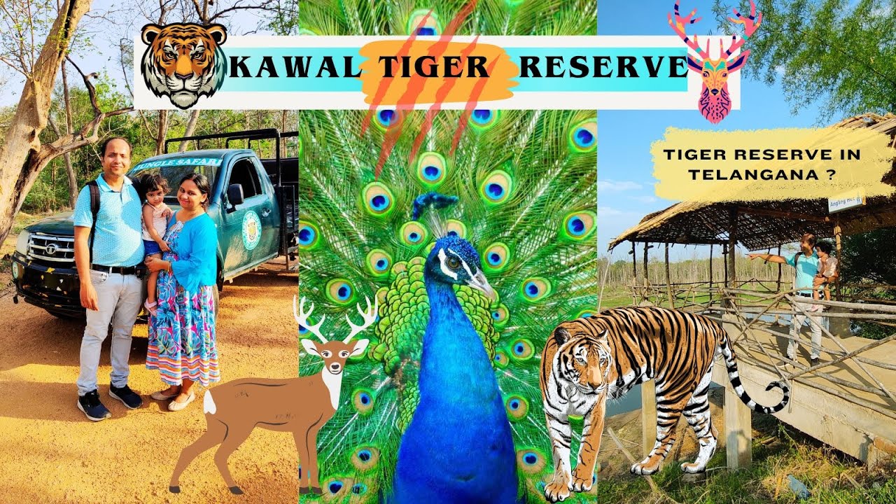 Epic Safari Adventure To Jannaram's Kawal Tiger Reserve! 🐯 🚗