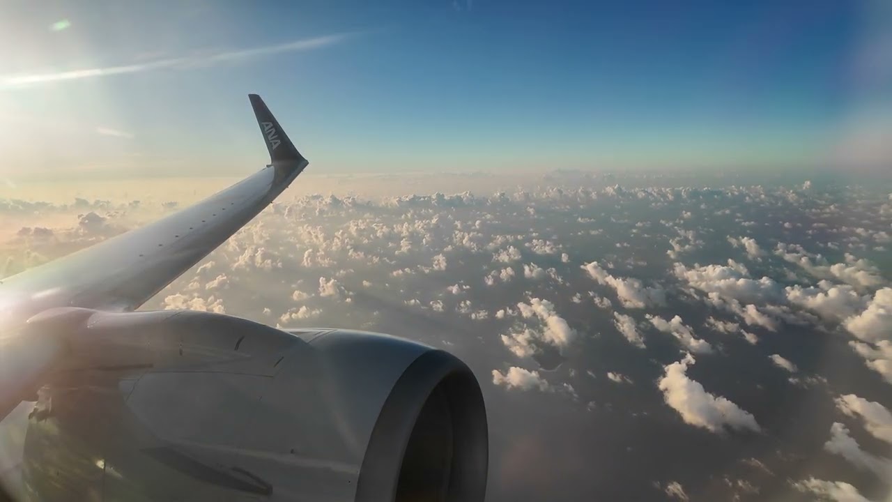 ANA1780便石垣空港→那覇空港45分フライトシート7A