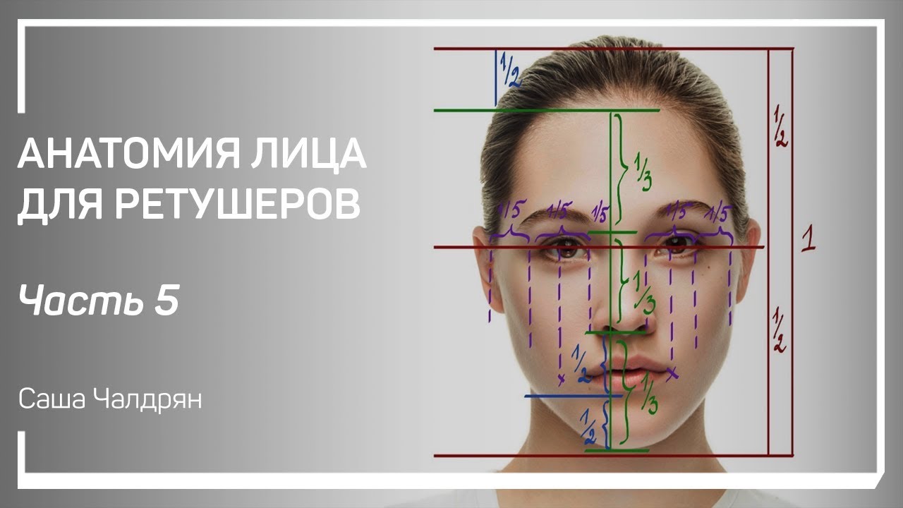 Детали лица: брови. Анатомия лица для ретушеров. Саша Чалдрян