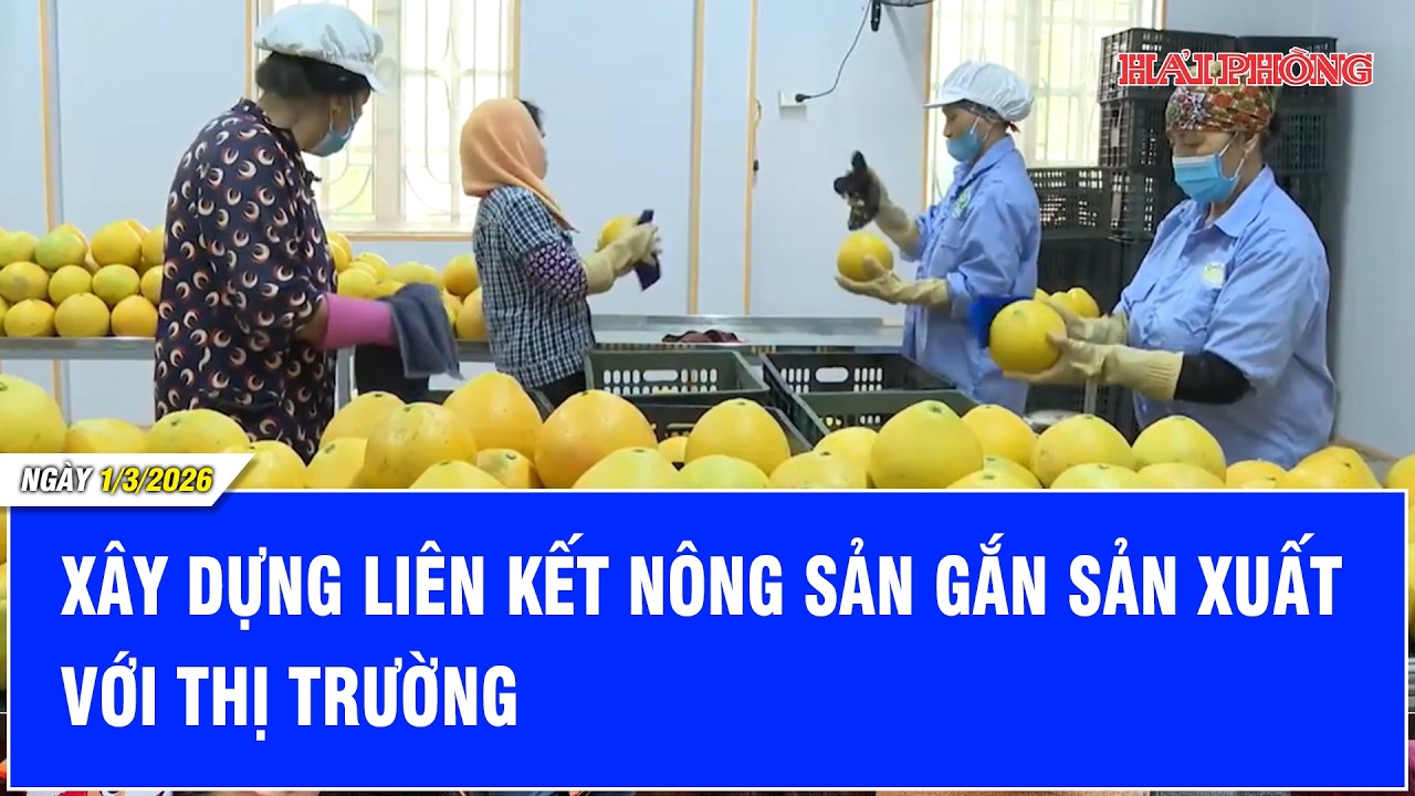 Xây dựng liên kết nông sản gắn sản xuất với thị trường