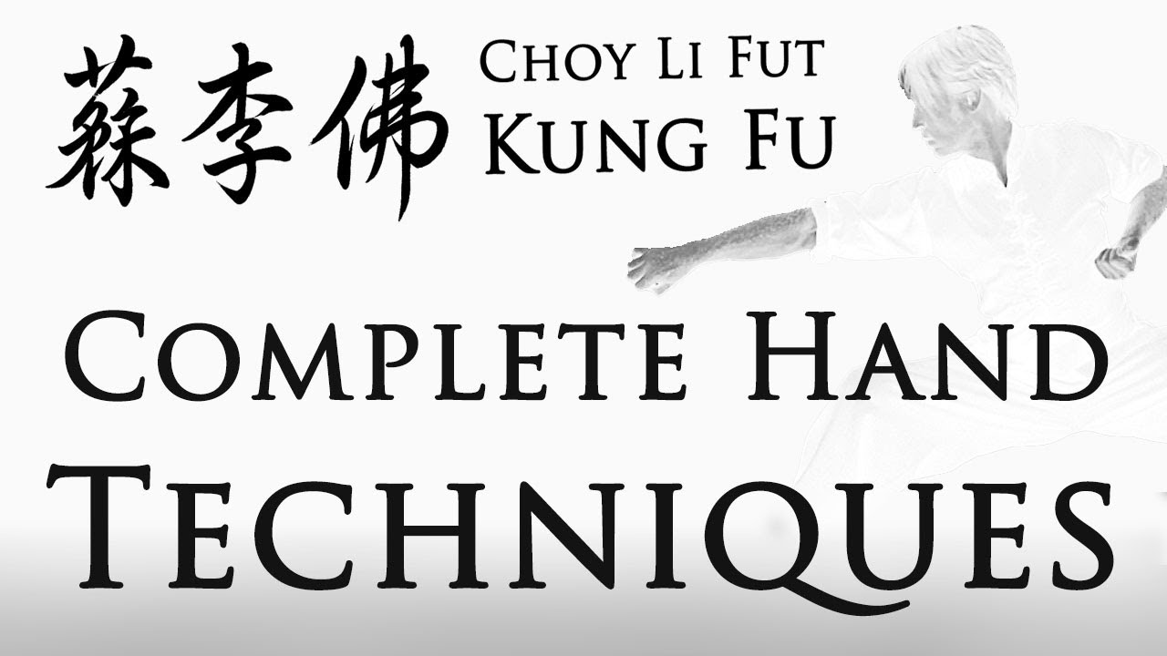 Choy Li Fut Kung Fu – Complete Hand Techniques Masterclass