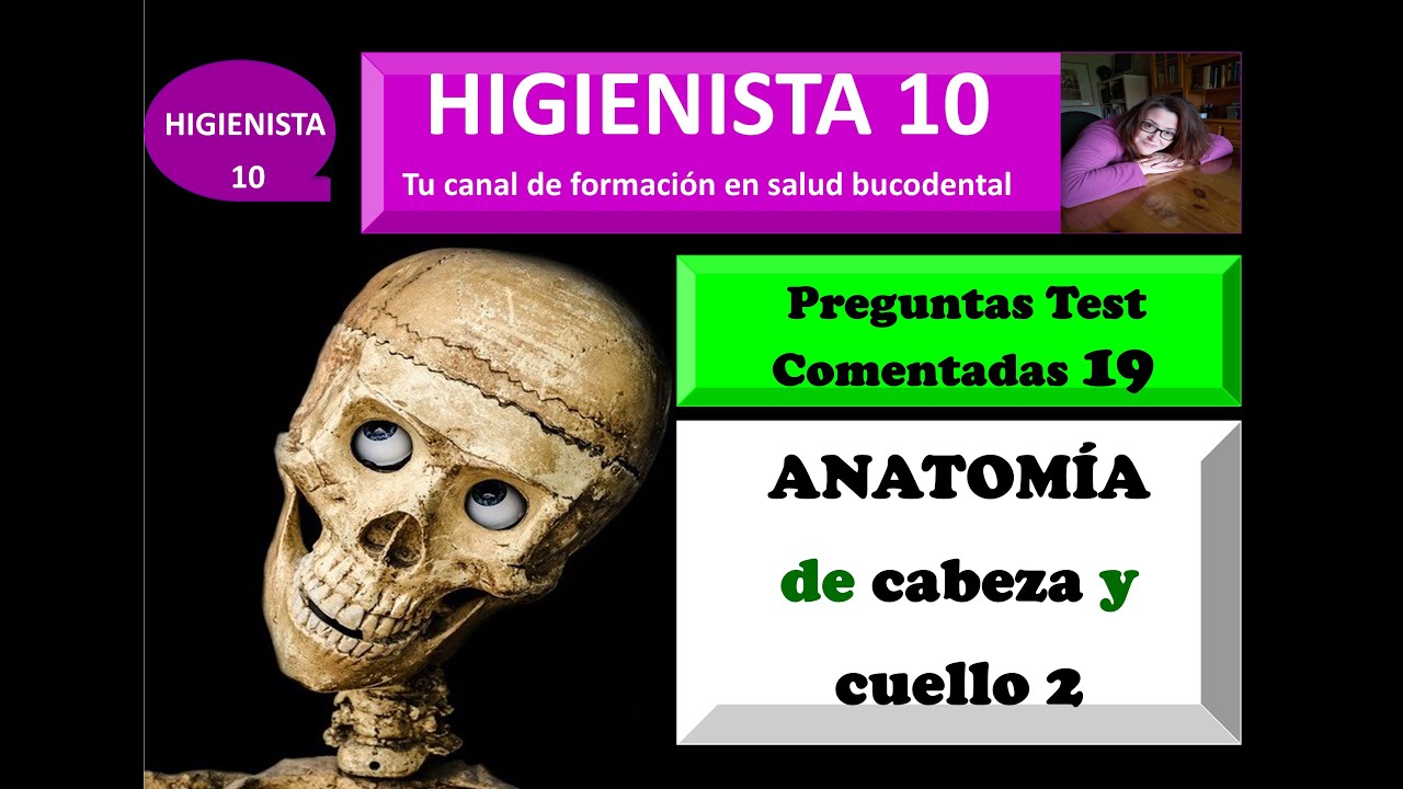 ANATOMÍA DE CABEZA Y CUELLO 2. PREGUNTAS TEST COMENTADAS 19.