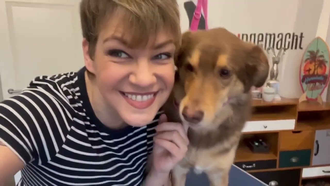 Unterwolle richtig ausbürsten - Fellpflege bei kurzhaarigen Hunden