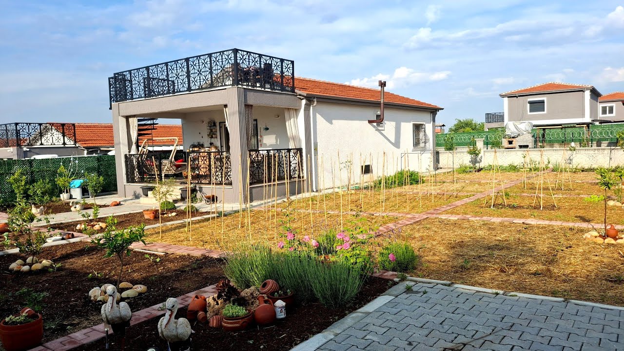 Köy Evi Bahçesi,  Saman Malç Olumlu ve Olumsuz Yönleri , Saman Malçta Çıkan Buğdaylar