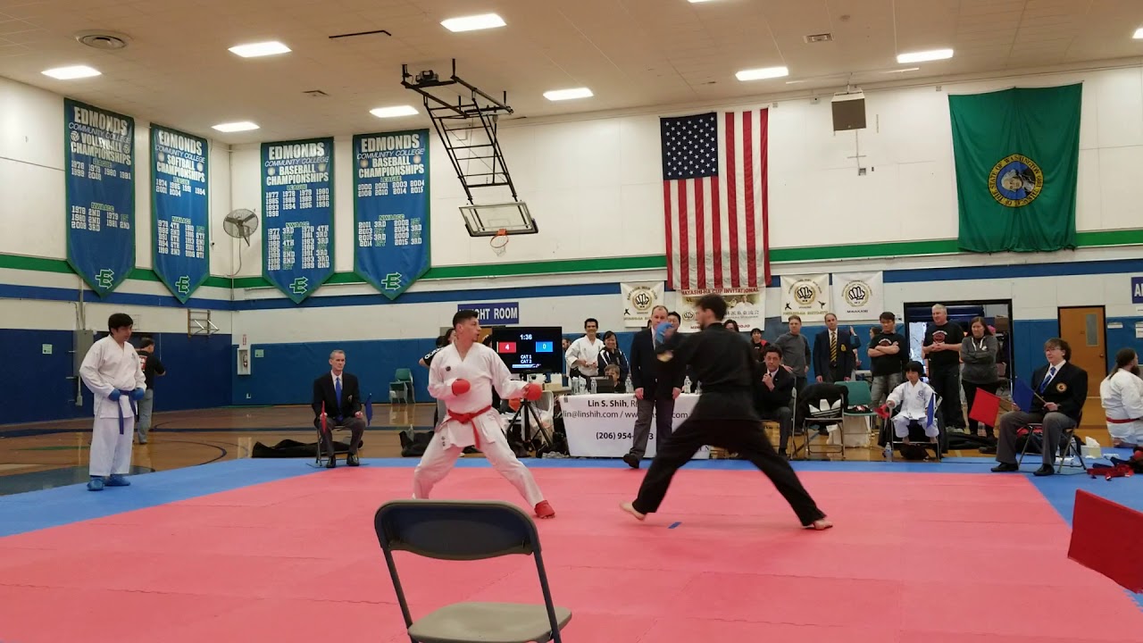 WKF Karate vs American Kenpo Karate