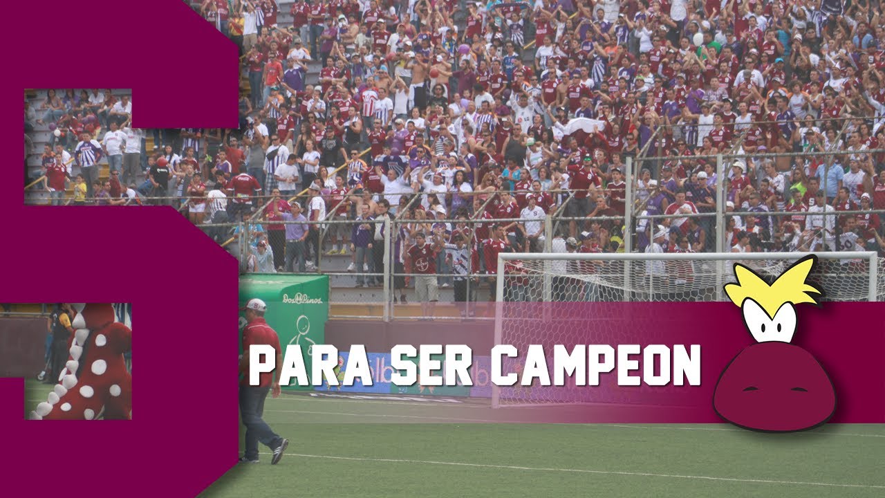 Ultra Morada - Para ser campeón