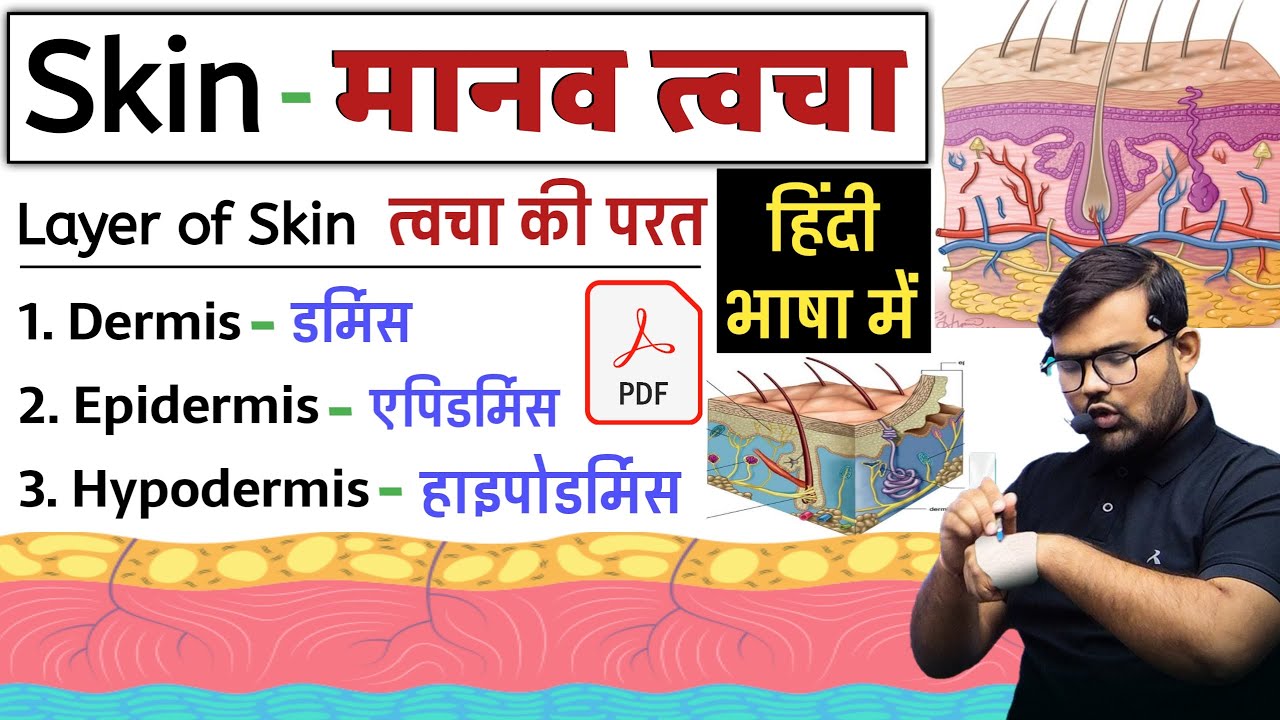 Skin Structure | त्वचा की संरचना | Skin Layer | Skin Anatomy And Physiology | Anatomy And Physiology