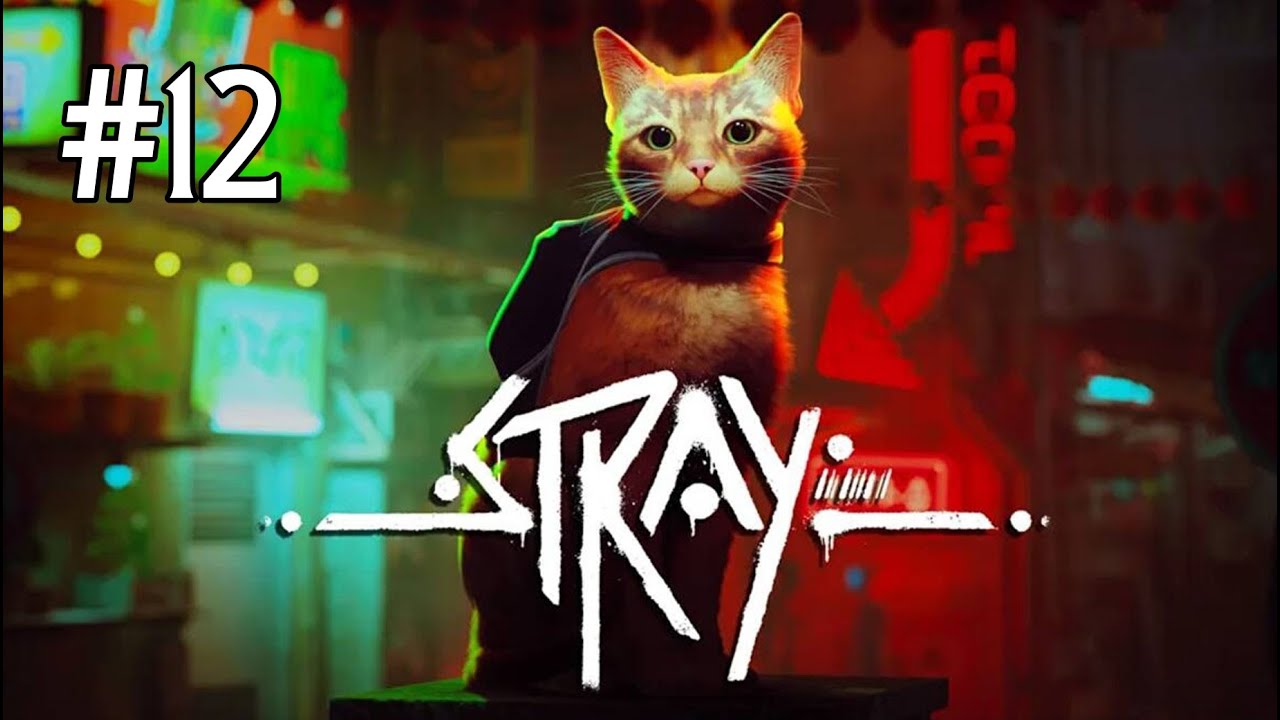 PRIGIONE | STRAY | Gameplay ITA #12