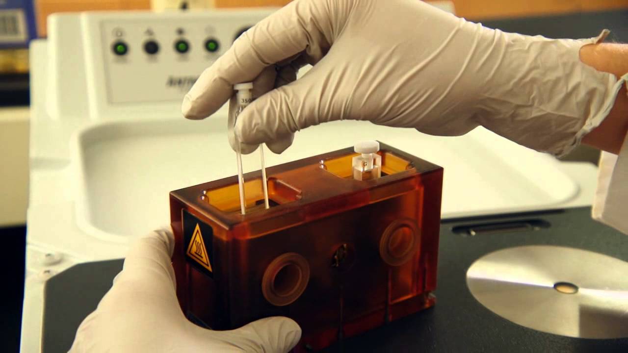 Antaris II FT-NIR Food Analyzer | Thermo Scientific