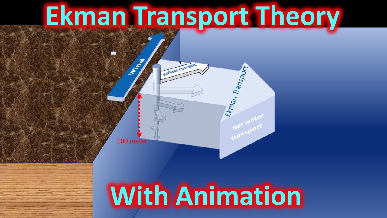 Подробное объяснение теории переноса Экмана с анимацией для UPSC