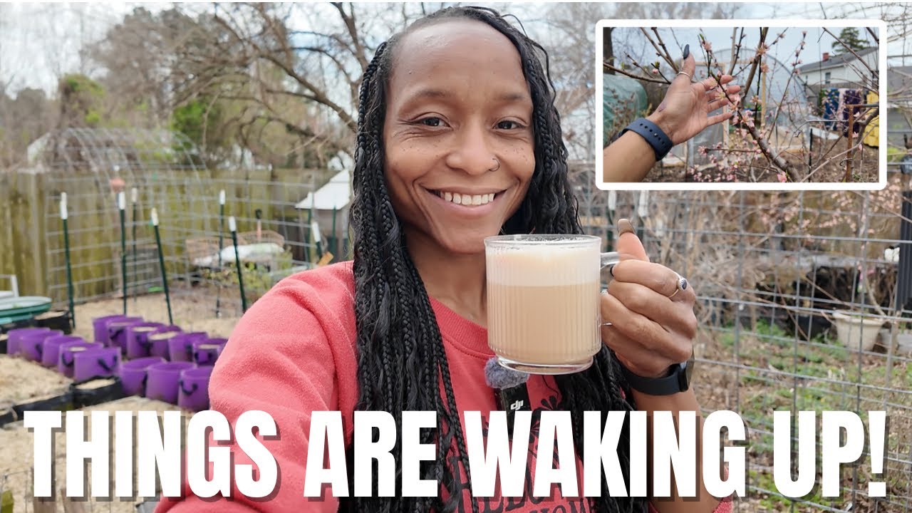 Spring Me Please (17) | Full Garden Tour After the Snow | One More Cold Crop Harvest | Spring Blooms