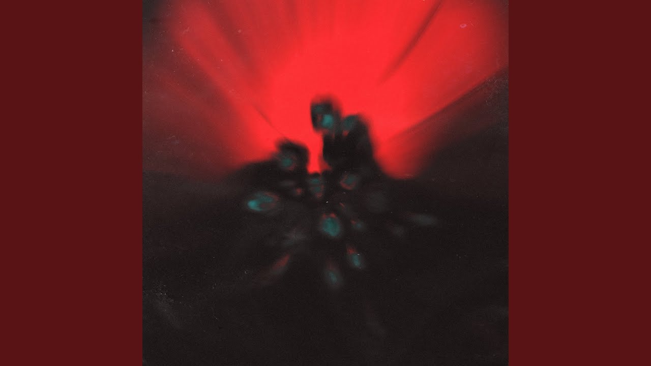 Dektora