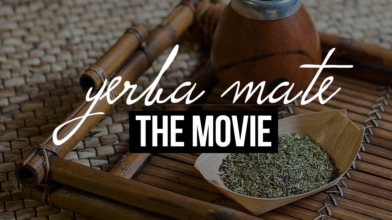 Yerba Mate dla początkujących – jak zacząć, co kupić, jak parzyć?