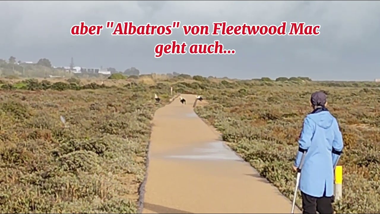5. Januar 2026