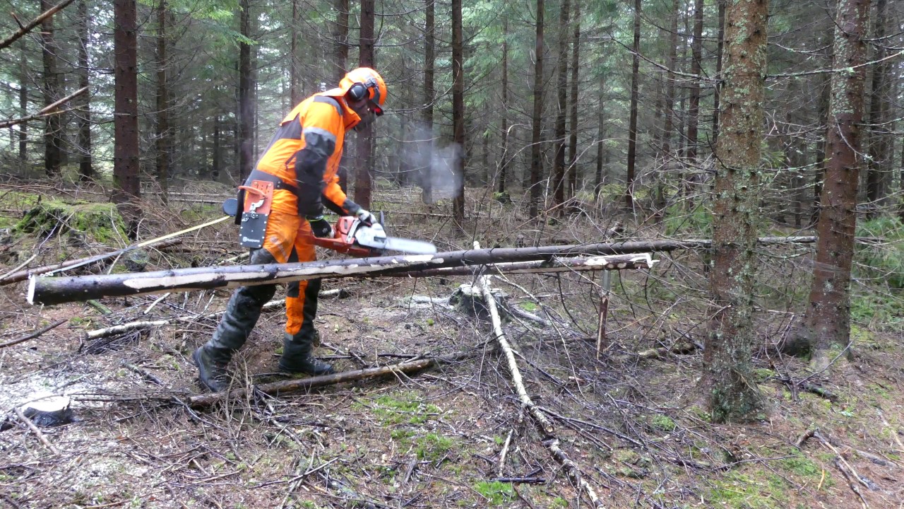 Skogsforum testar Nordforest Gallringsklyka