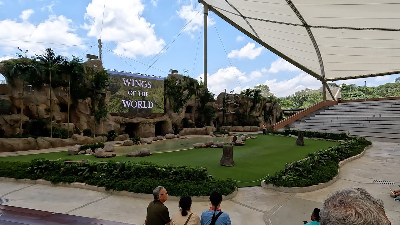 Wings of the World – Full Show – Bird Paradise, Singapore – 4K