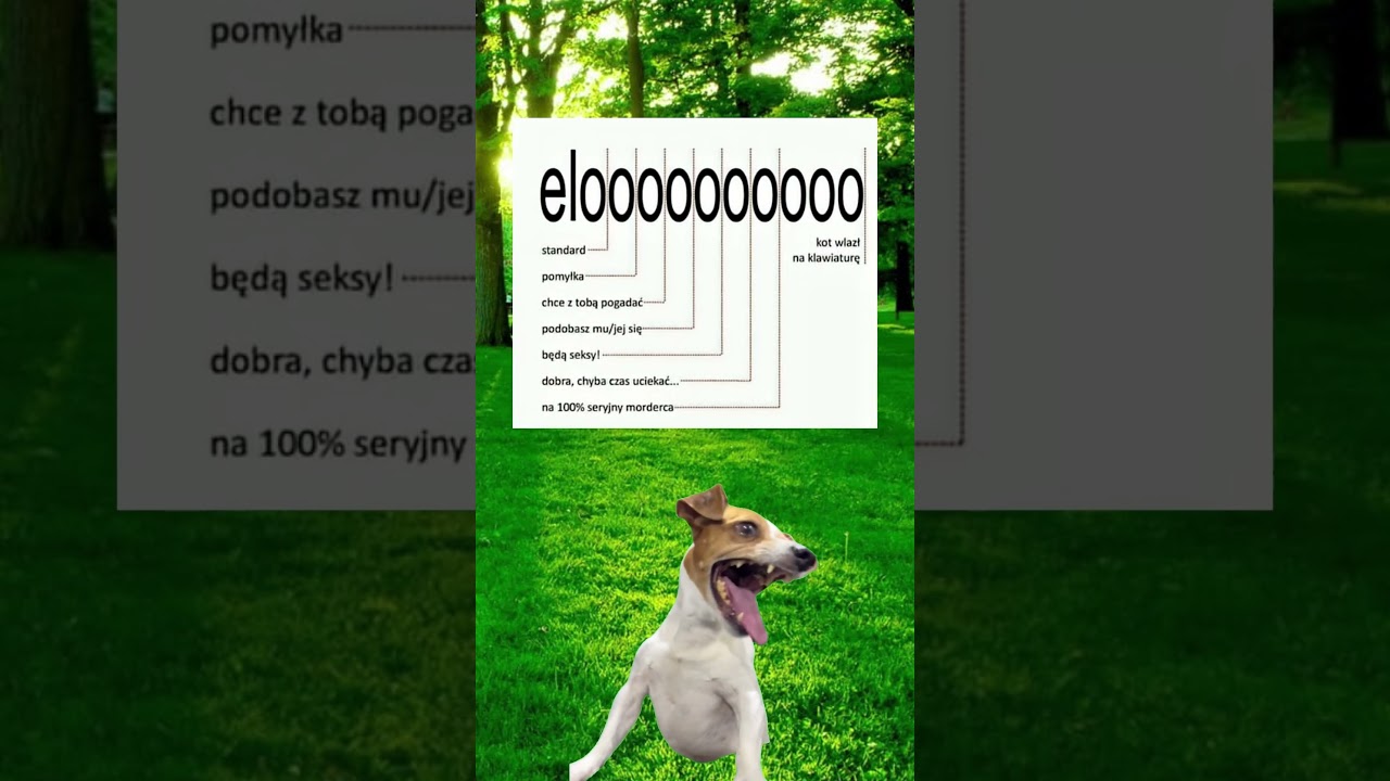 Test osobowości na podstawie ‘elo’ 