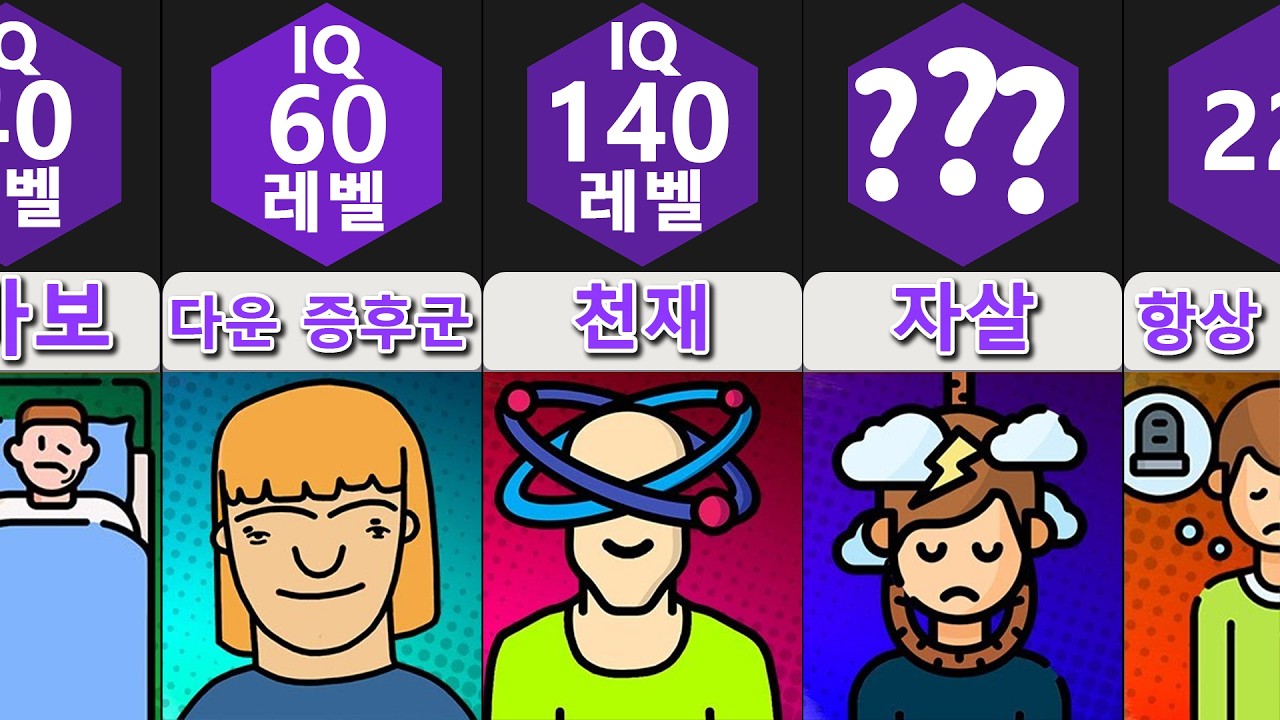 비교: IQ 수준에 따른 당신의 모습